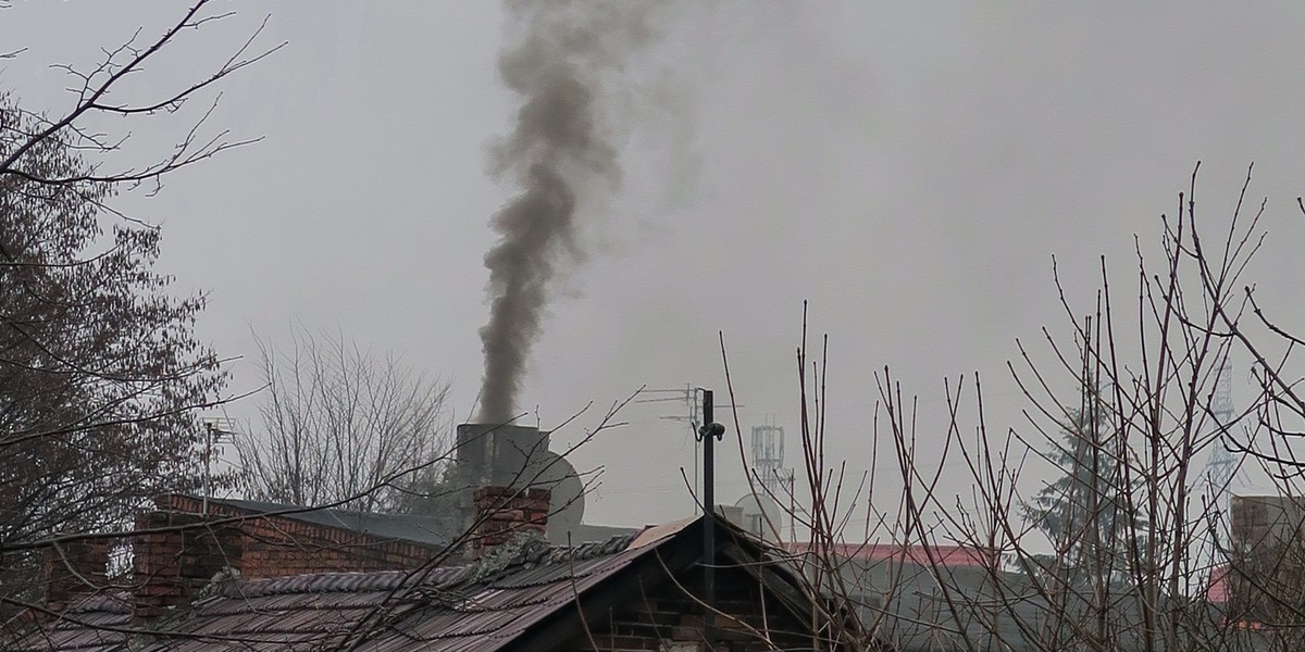 W ramach programu "Czyste powietrze" można skorzystać z dopłat do wymiany kotła albo termoizolacji