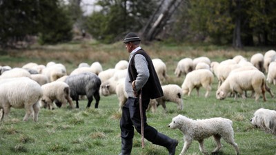 Zakopane. Wiosenny redyk w rejonie Doliny Białego