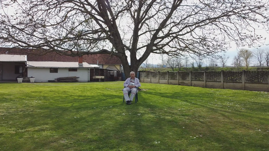 Najveći orah na Balkanu raste u Ljubić polju