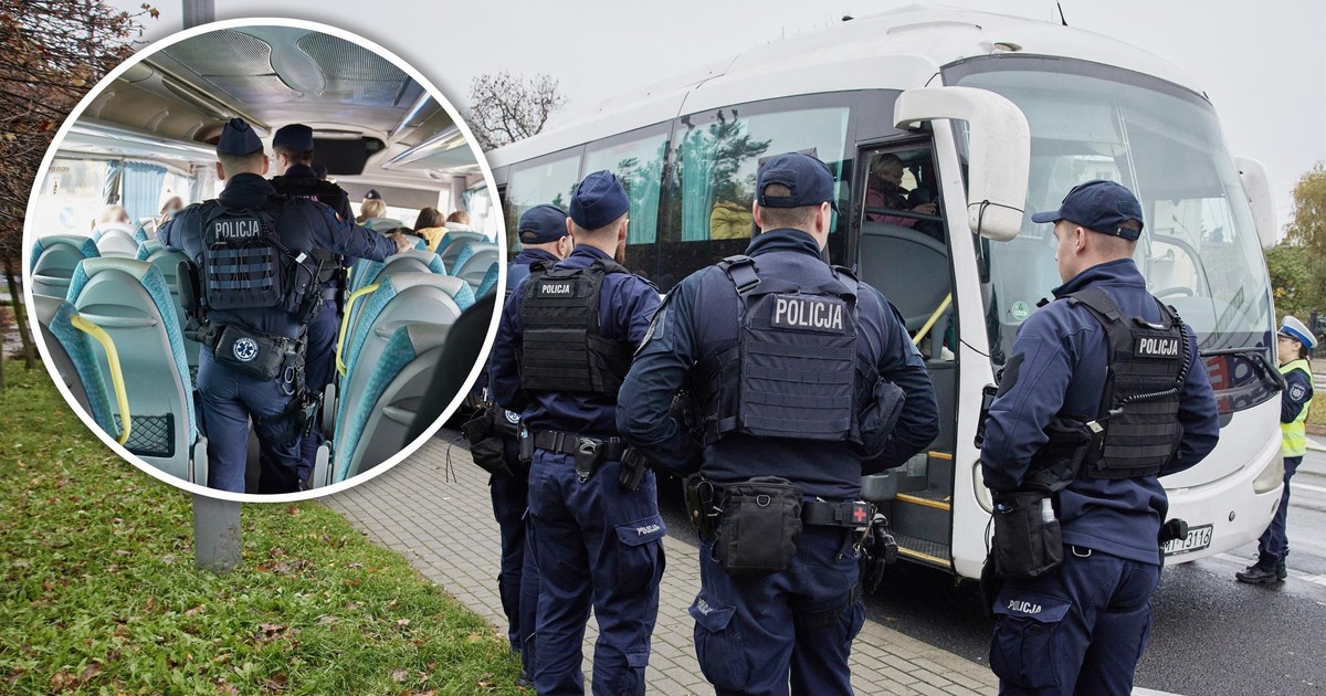 Policyjne naloty na autokary z cudzoziemcami. "Nielegalni muszą zacząć się obawiać"