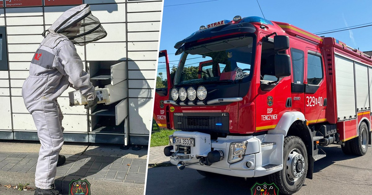 Niecodzienna akcja strażaków w Tenczynku. Musieli poskromić pszczoły w... paczkomacie