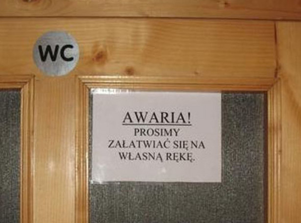 Absurd w WC, czyli załatw się na własną rękę