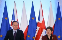 Cameron: Chcemy strategicznego partnerstwa między naszymi krajami [WIDEO]