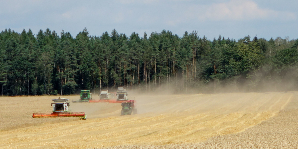 Susza rolnicza w Polsce jest we wszystkich województwach.