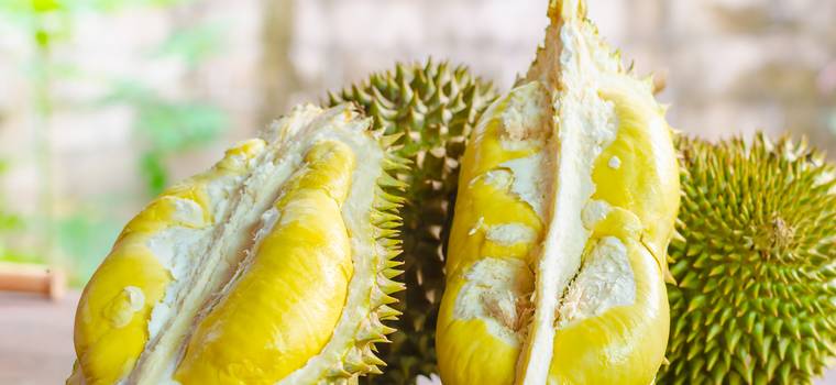 Naukowcy mogą użyć owocu duriana do tworzenia superkondensatorów