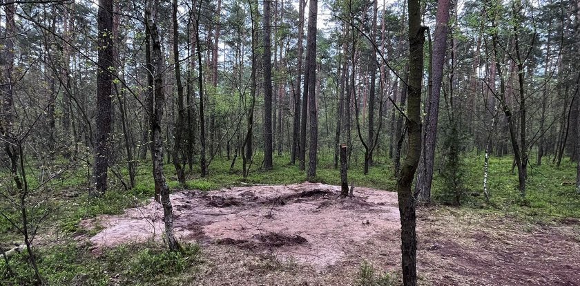 Ile rosyjskich rakiet wleciało do Polski? Co w lasach robią terytorialsi? Ważny człowiek wojska mówi o "tajemnicy"