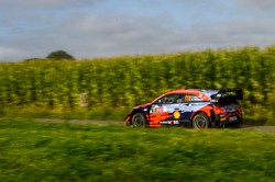 Thierry Neuville liderem po drugim etapie Rajdu Ypres