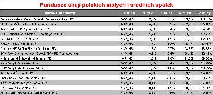 Fundusze akcji polskich małych i średnich spółek w 2009 r. - Expander