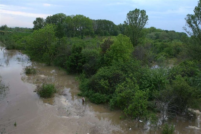 Wisła wyleje przez ekologów