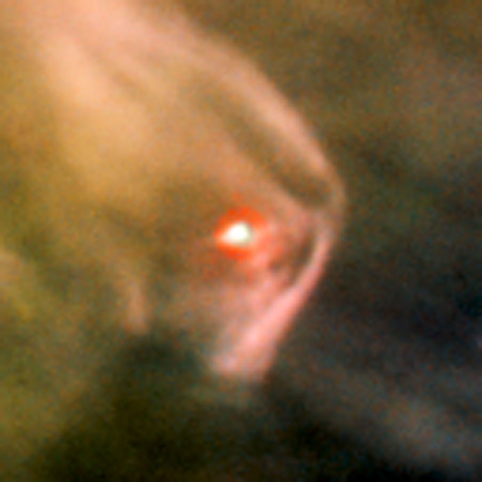 Born in beauty: proplyds in the Orion Nebula