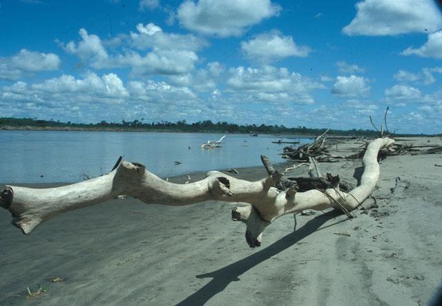 Galeria Peru - polskie ścieżki, obrazek 16