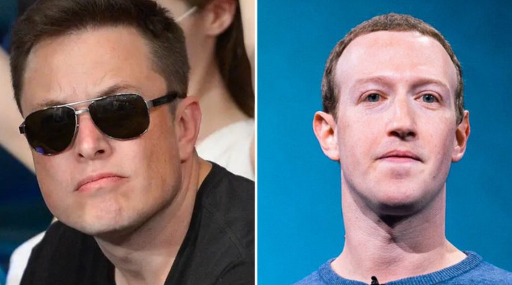 Ketrecharcra hívta egymást Elon Musk és Mark Zuckerberg / Fotó: Twitter