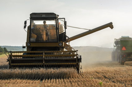 Rolnicy, którzy ponieśli największe straty, dostaną 1000 zł na hektar