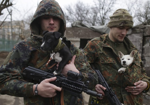 Żołnierze ukraińskiego batalionu ochotników “Azow” trzymają na rękach psy, stojąc na punkcie kontroli w swojej bazie w Mariupolu. 28 stycznia 2015 r.