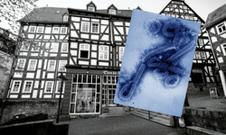 W 1967 r. wirus Marburg pojawił się w Niemczech. Chorzy wyglądali jak duchy