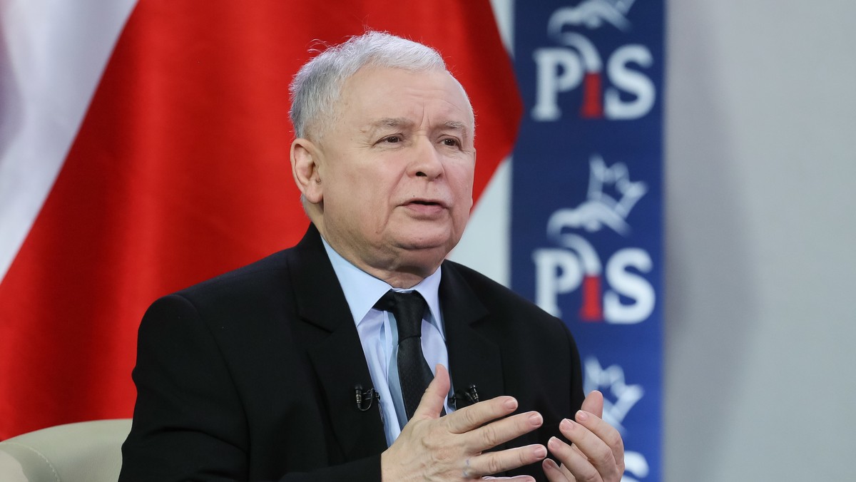 Być może moje koty dostaną coś nadzwyczajnego – mówi prezes PiS Jarosław Kaczyński pytany o Światowy Dzień Kota, który obchodzony jest 17 lutego. Przyznał jednocześnie, że dopiero od dziennikarza o tym "ważnym święcie się dowiaduje".