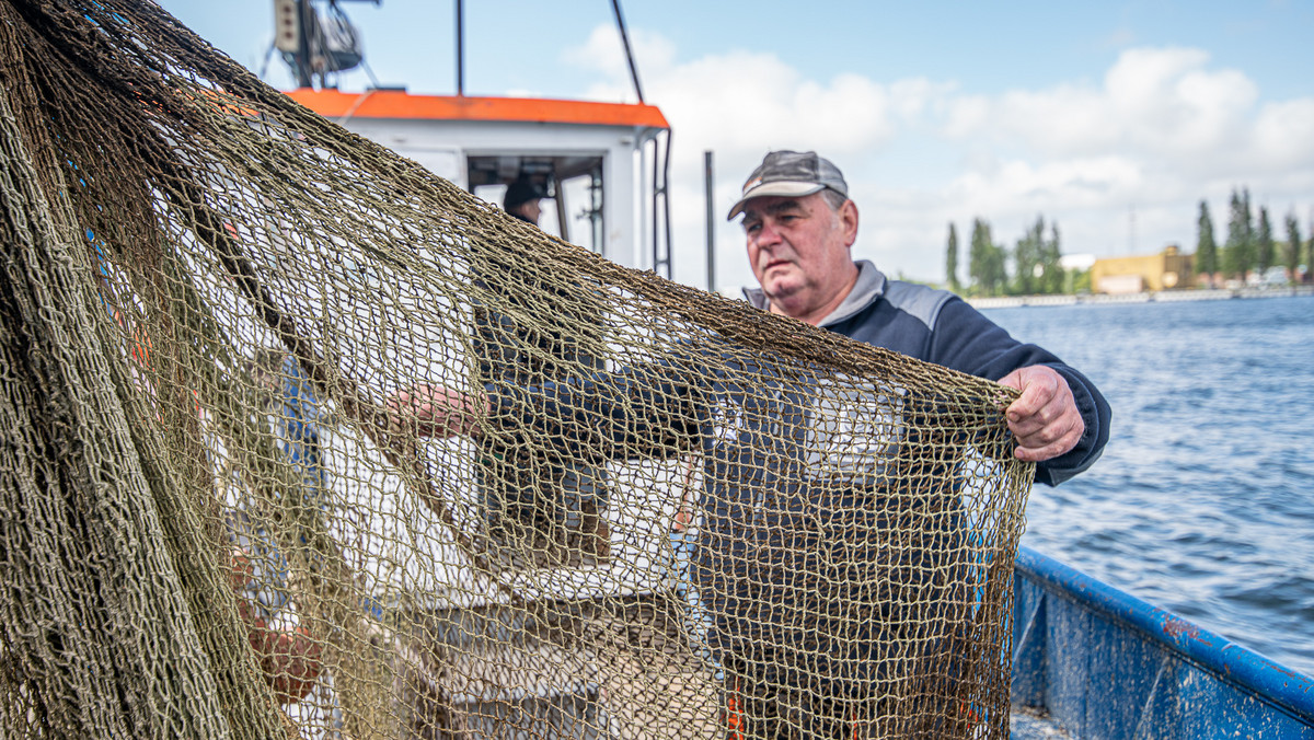 Bałtyk. Zmniejsza się populacja dorsza, a rybacy są na skraju bankructwa