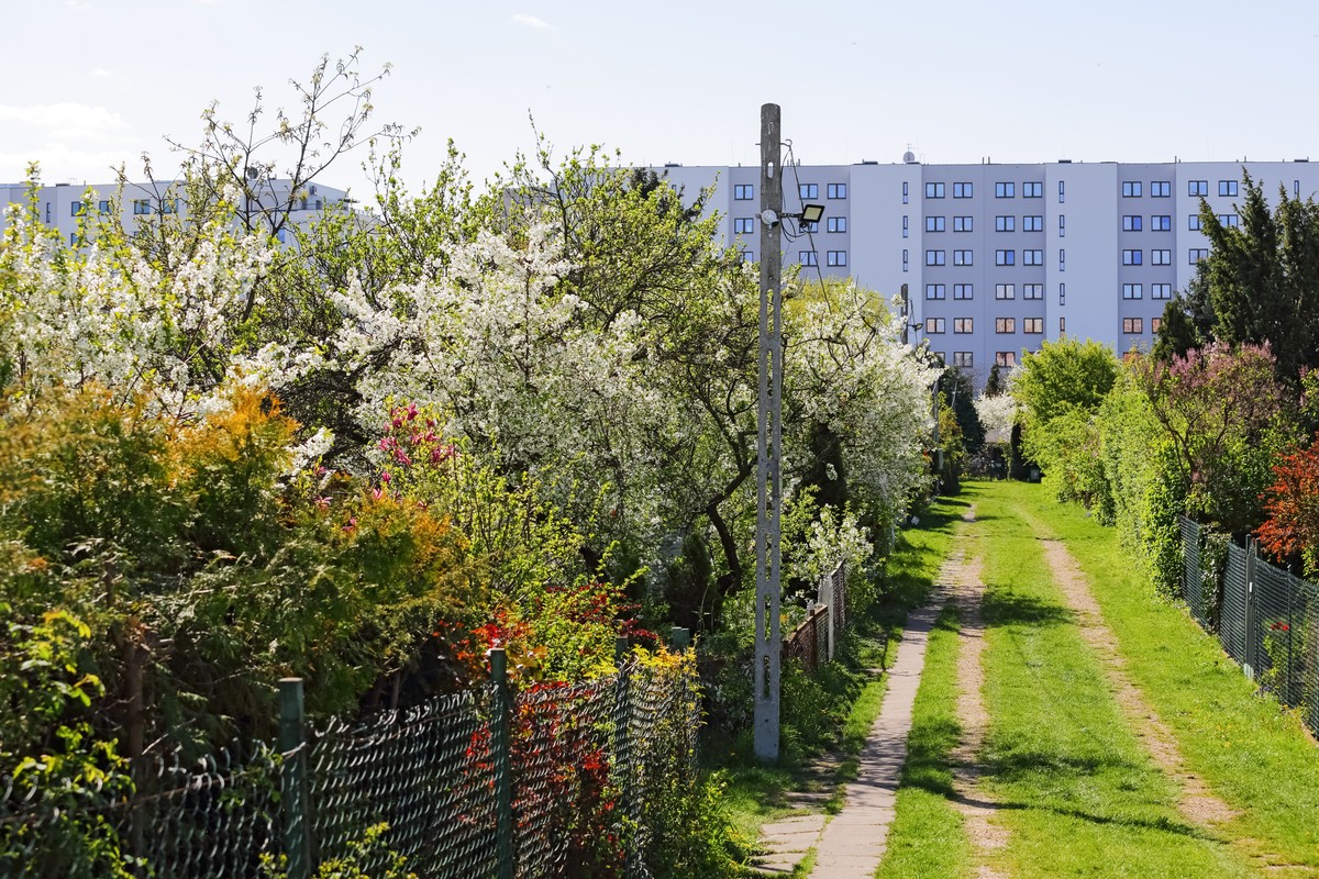 ogródki działkowe, działka, ROD