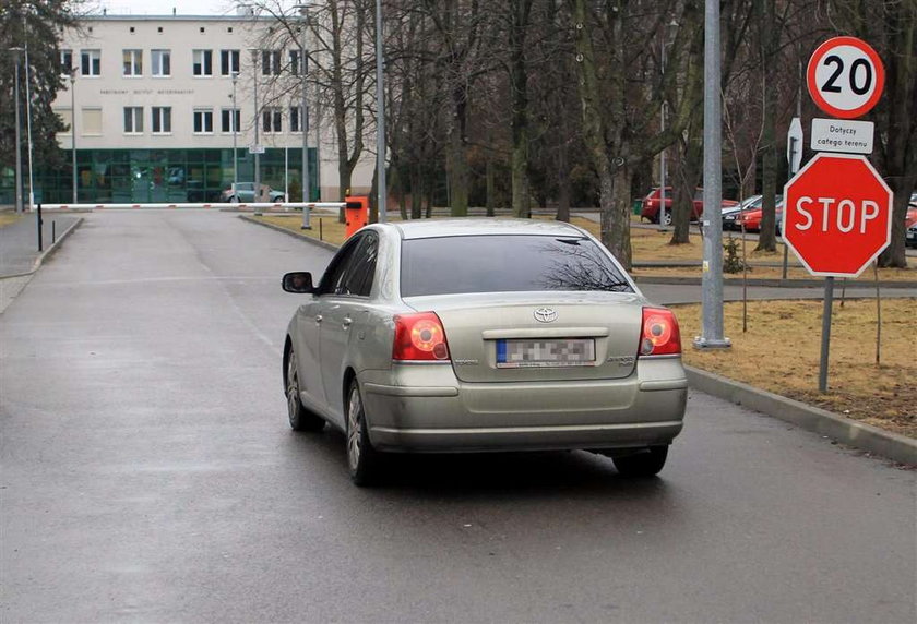 Policja utajnia badania soli! Czego się boi?