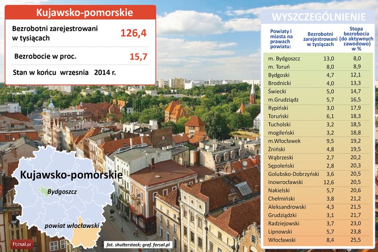 W regionie tym panuje drugie najniższe bezrobocie w kraju, ale sytuacja powoli zaczyna się nieco poprawiać. Stopa bezrobocia w całym regionie wynosi dziś 15,7 proc. Jeszcze na początku 2014 roku sięgała 18,8 proc. W województwie kujawsko-pomorskim notuje się też najniższy w Polsce odsetek osób z wykształceniem wyższym. <br>Głównymi ośrodkami gospodarczymi województwa są Bydgoszcz i Toruń i to właśnie w tych miastach bezrobocie jest najniższe – wynosi odpowiednio 8 i 8,9 proc. Bydgoszcz jest siedzibą Pesy, produkującej pojazdy szynowe i eksportującej je na wiele zagranicznych rynków. Pesa Bydgoszcz zatrudnia ok. 3 tys. pracowników. Wszystkie podzespoły do pociągów i tramwajów powstają w innych polskich firmach, które łącznie dają pracę ponad 80 tys. osób. W Bydgoszczy są też obecne oddziały dużych zagranicznych koncernów z branży elektronicznej i IT – m.in. Atos, Alcatel-Lucent czy Jabil Global Services. W Toruniu z kolei działają m.in. Nestle, ThyssenKrupp i Frauenthal Automotive, a także rodzime Toruńskie Zakłady Materiałów Opatrunkowych, Krajowa Spółka Cukrowa czy Toruńskie Zakłady Urządzeń Okrętowych. 
<br>W województwie kujawsko-pomorskim aż w 11 powiatach stopa bezrobocia przekracza 20 proc. Niechlubnym liderem rankingu najwyższego bezrobocia w regionie jest powiat włocławski (25,5 proc.). W samym Włocławku wskaźnik ten kształtuje się na poziomie 19,2 proc. W ubiegłym roku spółka Agros-Nova zlikwidowała swój włocławski oddział i zwolniła ponad 90 osób. Niebawem pracę może też stracić 50 pracowników Kujawsko-Pomorskiego Transportu Samochodowego.