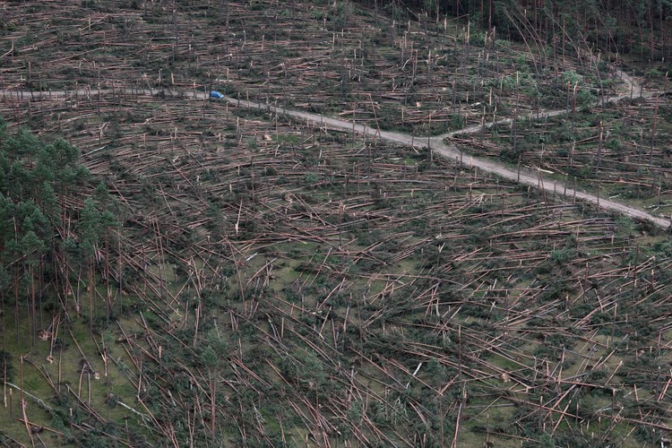 III miejsce w kategorii 