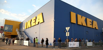 IKEA ma propozycję dla uchodźców. Zgłosiło się już ponad 30 osób