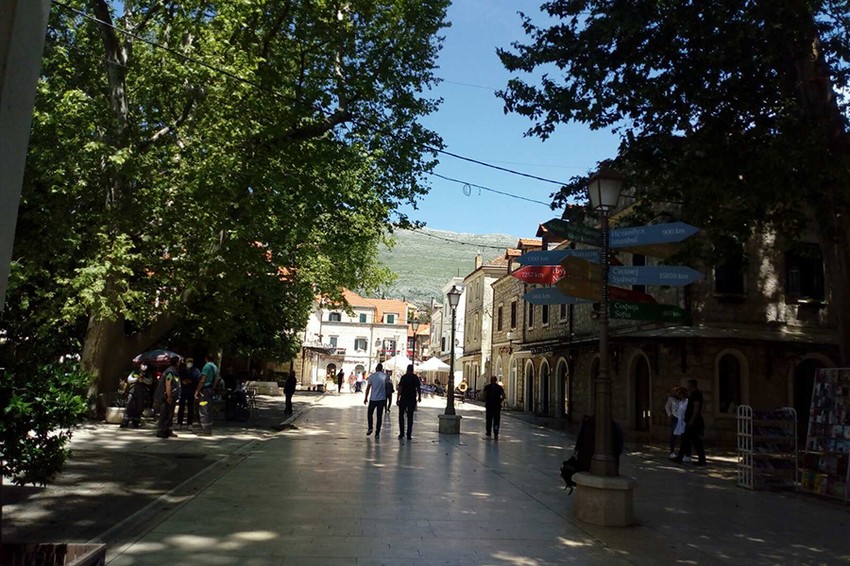 Trebinje platani