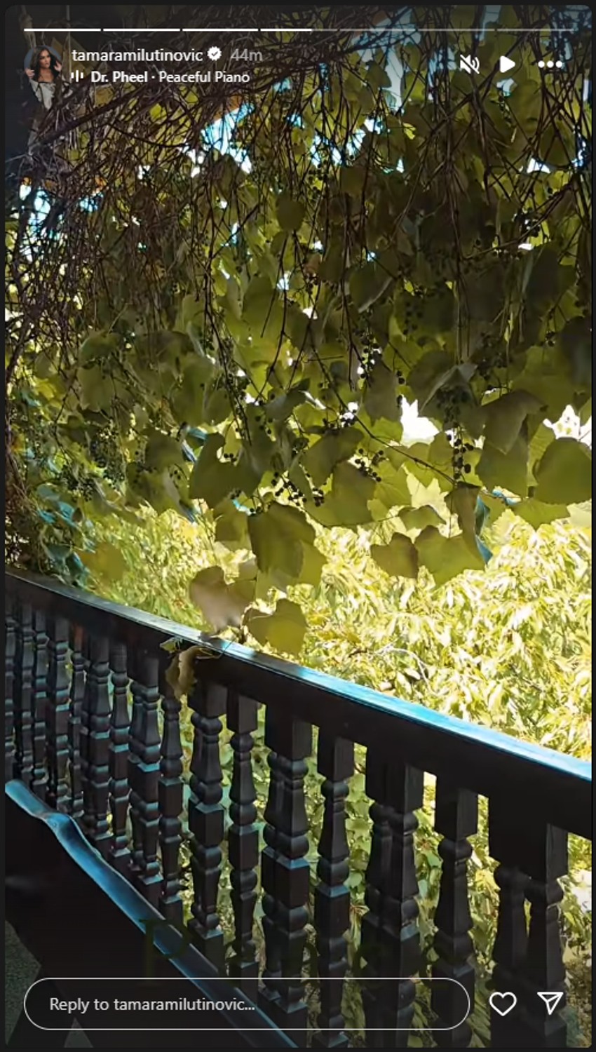 Porodično imanje Tamare Milutinović