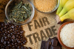 Śliwińska: Wspieranie idei sprawiedliwego handlu leży w interesie lokalnej społeczności [WYWIAD]