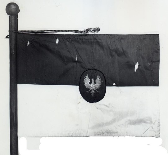 Bandera Marynarki Wojennej z 1919 r.