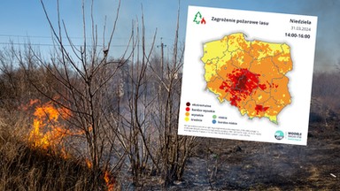 Ekstremalne zagrożenie pożarowe w lasach. Prognozy opadów są jednoznaczne [MAPY]