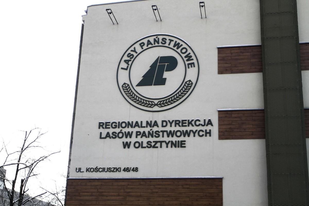ABW u byłego dyrektora Lasów Państwowych. Szkoda majątkowa "ogromnych rozmiarów"