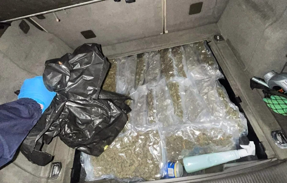 Zaplenjena marihuana