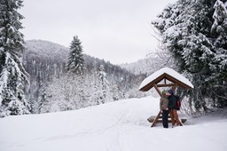 zima uderzy tam, gdzie nikt się jej nie spodziewa. śnieg zasypie drogi przed świętami 2025. czy polskę pokryje biały puch? imgw prognoza pogody długoterminowa