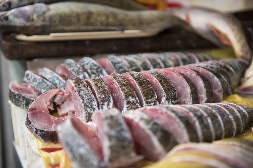 Riba na beogradskim pijacama