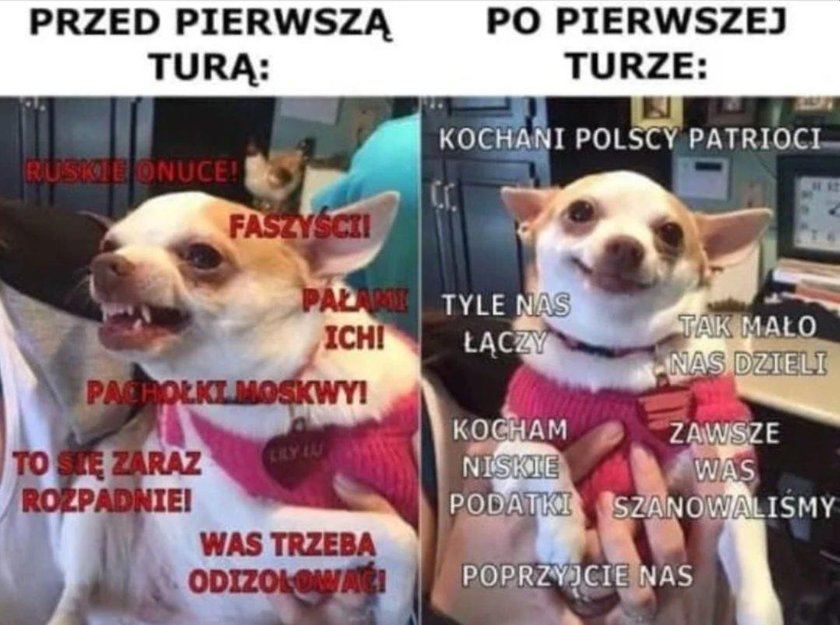 Memy po I turze wyborów prezydenckich 2020