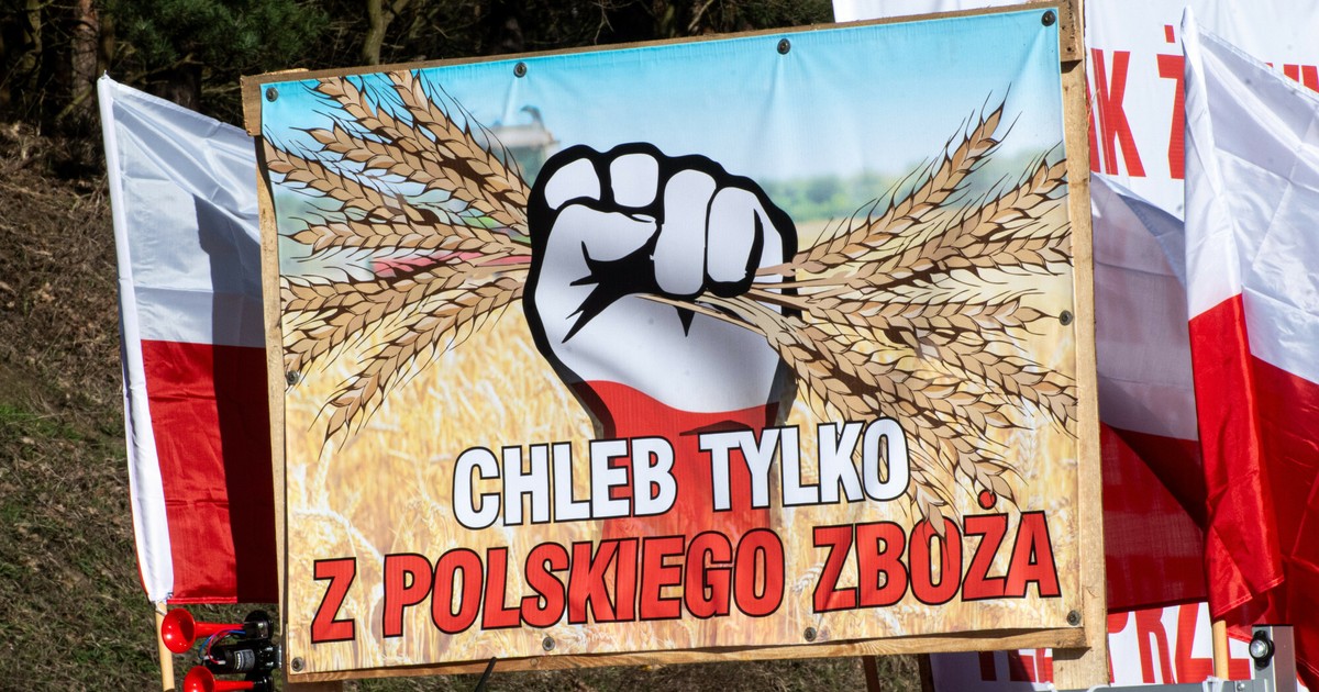 Agroholdingi oligarchów. Z kim mierzą się polscy rolnicy?