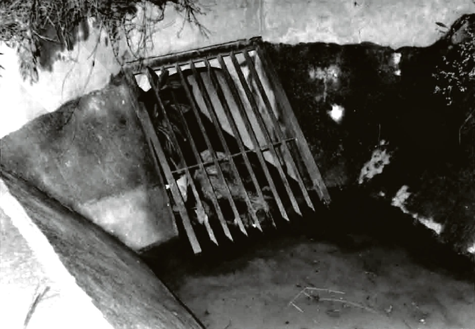 Kurak osumnjičen da je telo Ristovića bacio u slivnik topčiderske reke