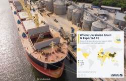 Rosja wycofała się z umowy zbożowej. Oto kraje, które kupowały najwięcej ziarna z Ukrainy [WYKRES]