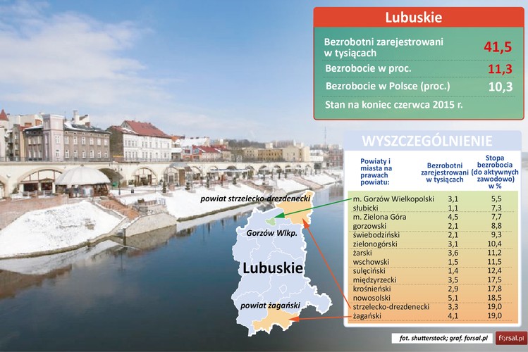 W najlepszej sytuacji w województwie Lubuskim byli mieszkańcy Gorzowa Wielkopolskiego. Stopa bezrobocia rejestrowanego wynosiła tam 5,5 proc, co odpowiada 3,1 tys. ludzi szukających pracy. Najgorsza sytuacja była w powiecie żagańskim, gdzie stopa bezrobocia rejestrowanego wynosiła 19 proc. a pracy nie mogło znaleźć 4,1 tys. ludzi. <br><br>W całym województwie było 41,5 tys. bezrobotnych a stopa bezrobocia rejestrowanego wynosiła 11,3 proc, o 1,3 pkt proc. więcej niż wynosi wskaźnik dla całej Polski.