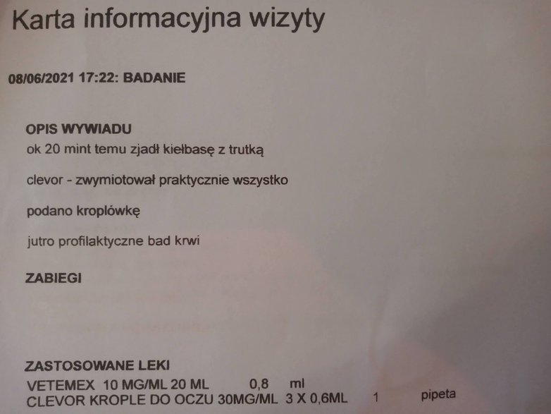 Psa dzięki szybkiej interwencji weterynarza udało się uratować