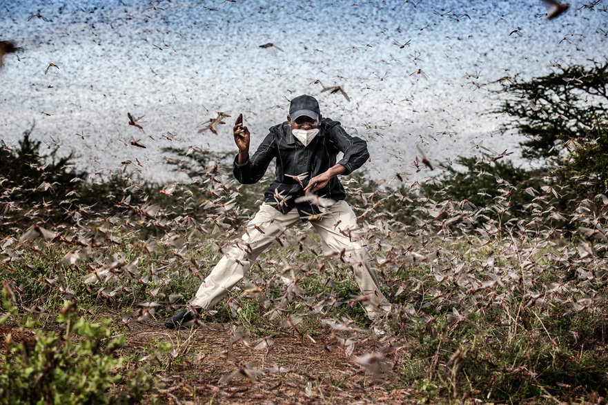 Luis Tato, trzecie miejsce w kategorii "Natura - fotoreportaż"