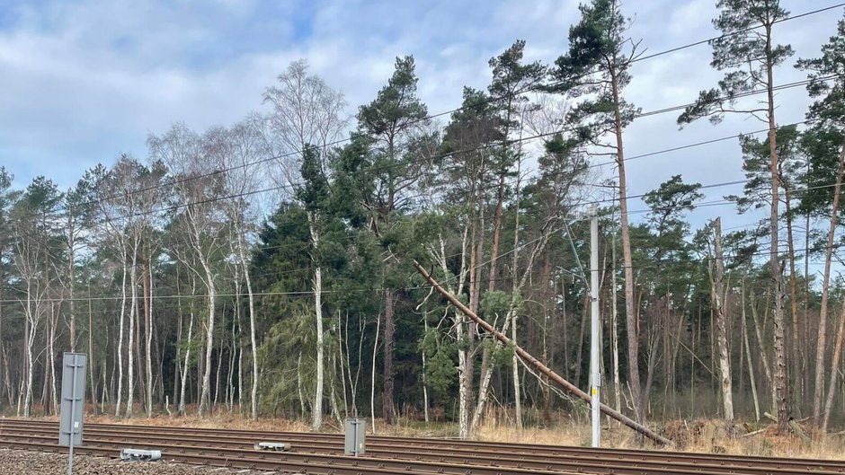 Drzewo uszkodziło trakcję kolejową.