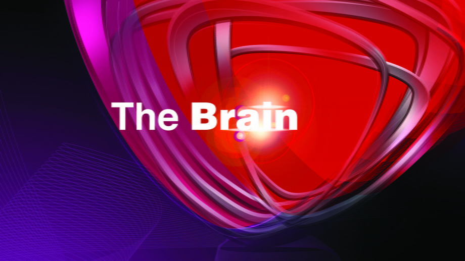 Logo programu "The Brain"