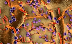 Ten QUIZ z biologii i chemii to nie lada wyzwanie. Zdobędziesz choć 6/10?