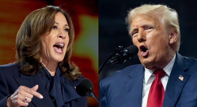 In the final stretch of the presidential campaign, Vice President Kamala Harris and former President Donald Trump are making their final pitch to undecided voters.Robert Gauthier/Los Angeles Times via Getty Images; Rebecca Noble/Getty Images