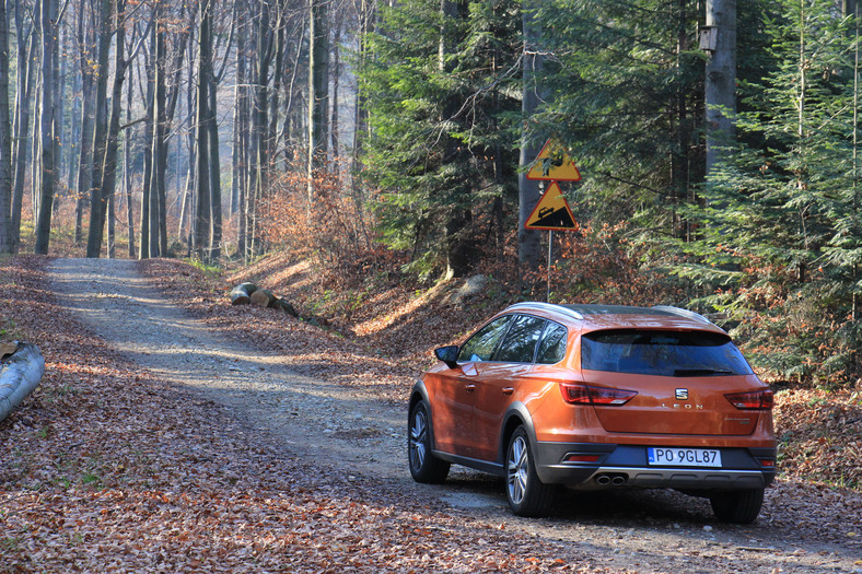 Seat Leon 2.0 TDI X-Perience 