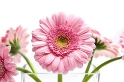 W Spa na nowo odkryłabym w sobie piękno