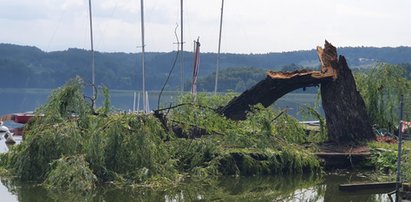 Niszczycielska nawałnica nad Chodzieżą. Alertu RCB nie było