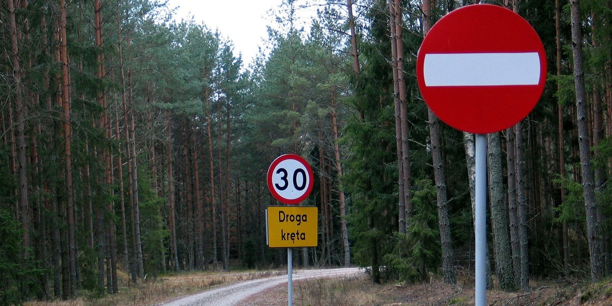 Prawo i Sprawiedliwość zaprezentowało w trakcie konwencji nowe propozycje programowe. Zgodnie z nimi od 1 lipca 2019 r. świadczenie 500 plus obejmie pierwsze dziecko w rodzinie, a do 1 maja wszyscy emeryci otrzymają "trzynastą" emeryturę w kwocie 1100 zł. Dodatkowe świadczenie ma obowiązywać również w kolejnych latach.